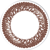 LACELLE 1-Day Tender Brown 柔啡日拋隱形眼鏡(30片)